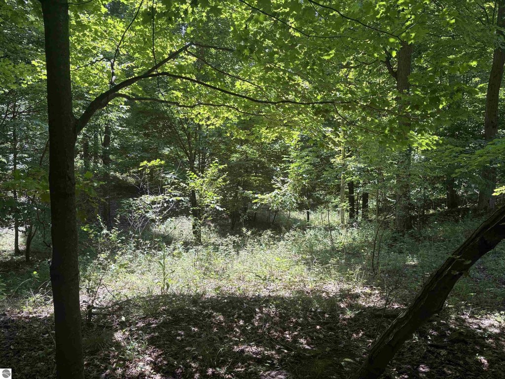 Picture 22