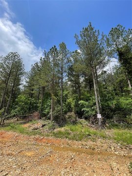 LAND - Broken Bow, OK