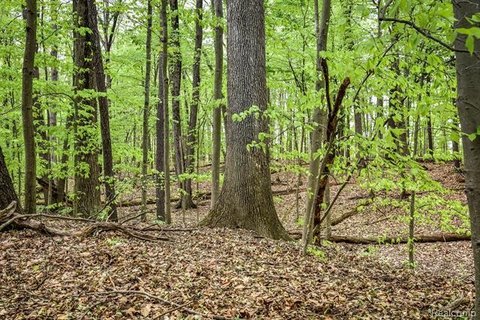 32+ Acres in Brandon Township