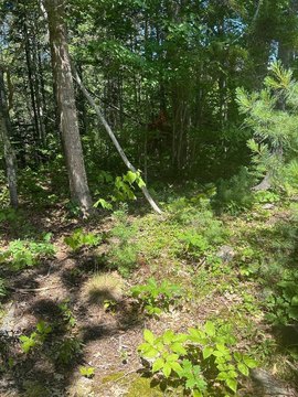 LAND - Boothbay, ME