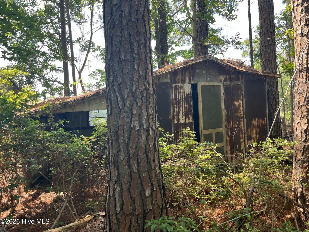 Picture 11