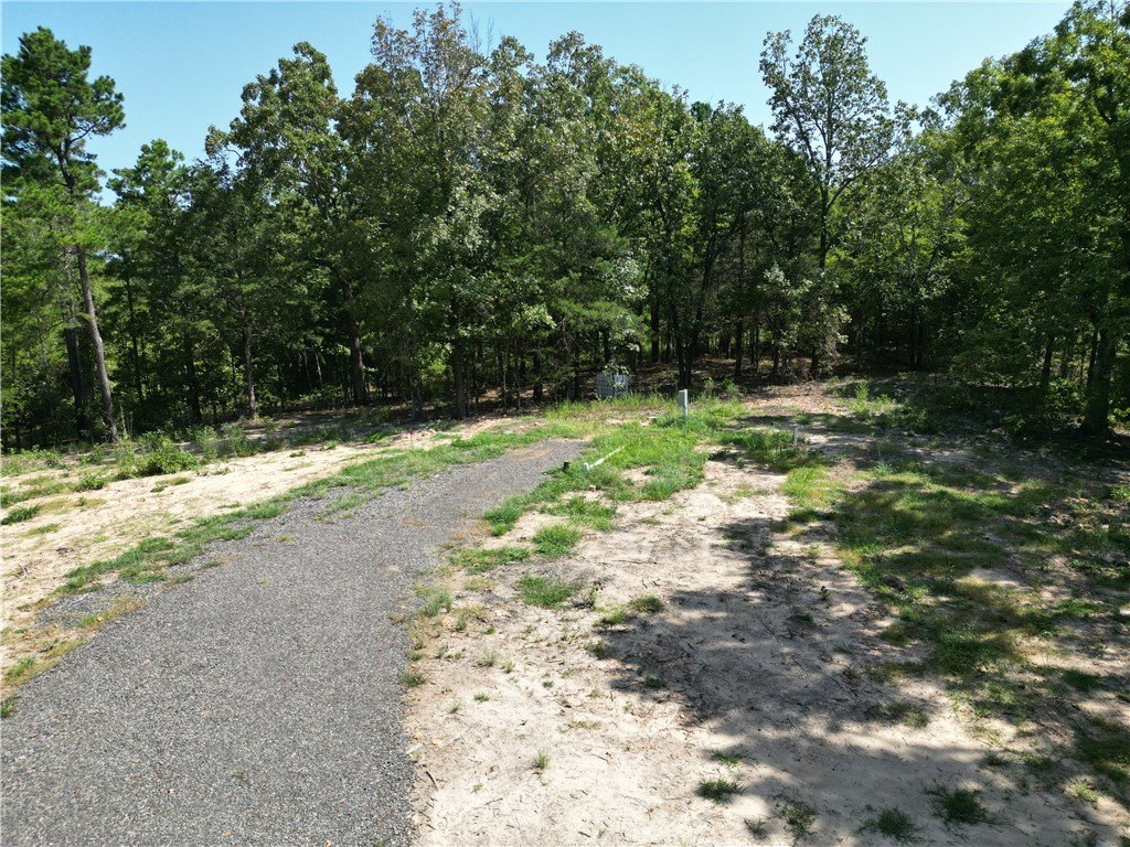 Picture 4
