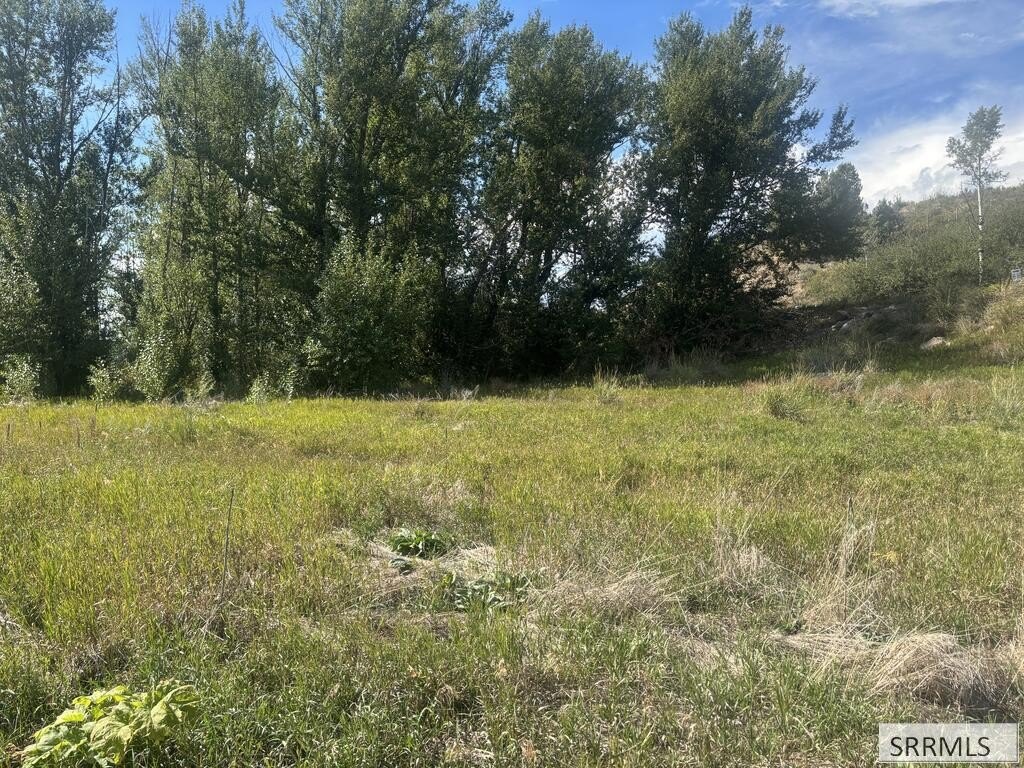 Picture 8