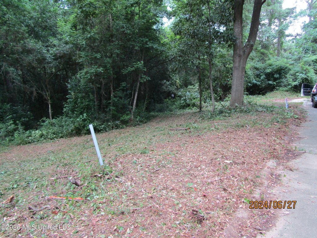 Picture 2