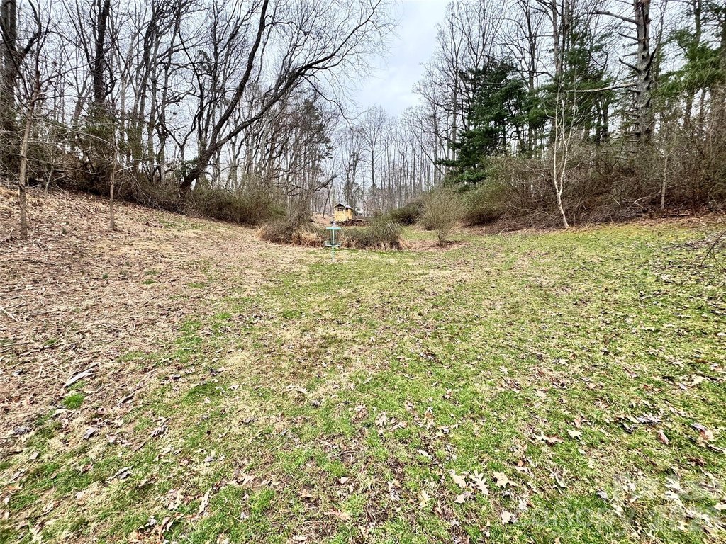 Picture 23
