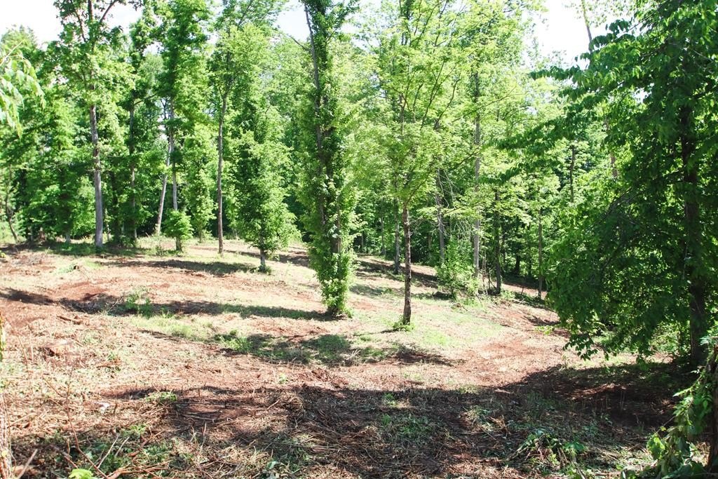 Picture 15
