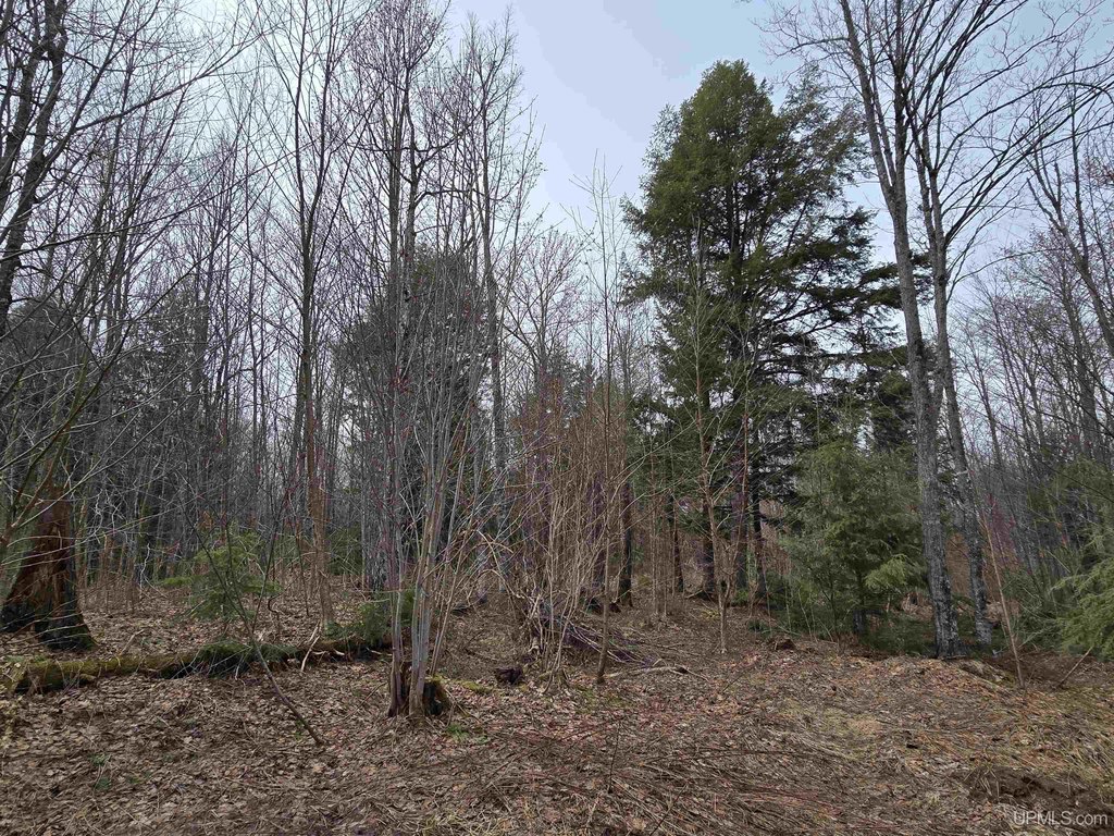 Picture 23