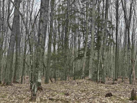 Vacant Land in Silver River Reserve