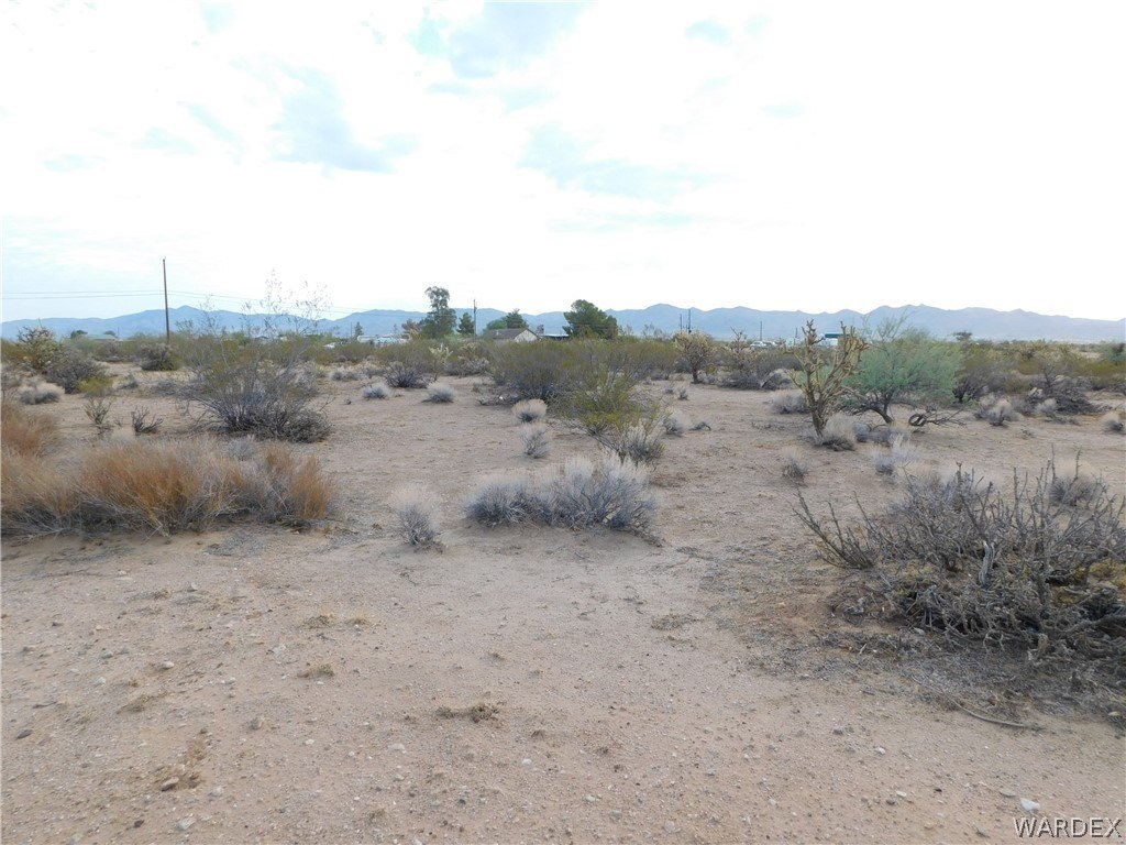 Picture 8