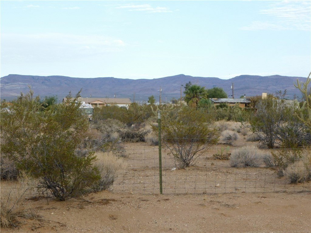 Picture 14