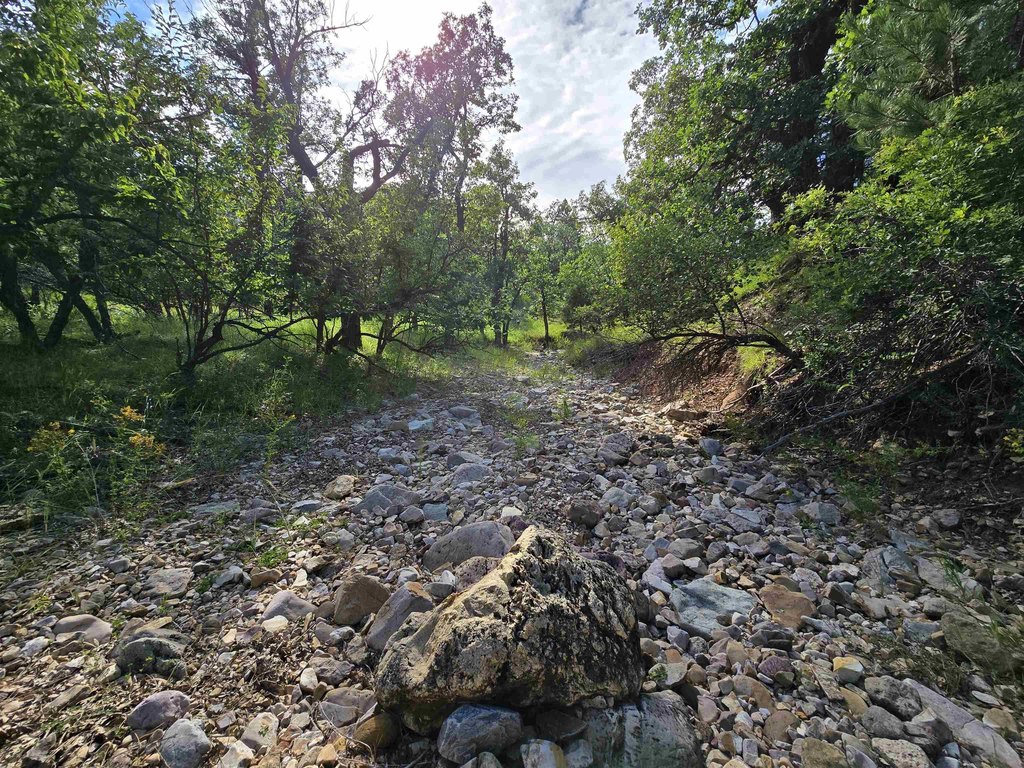 Picture 46