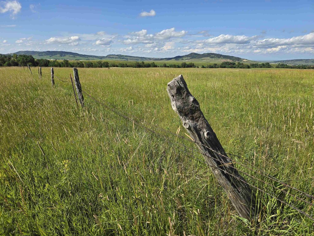 Picture 33