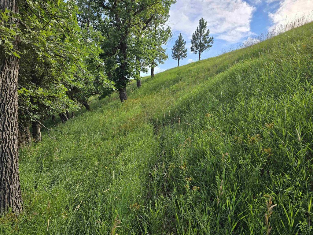 Picture 29