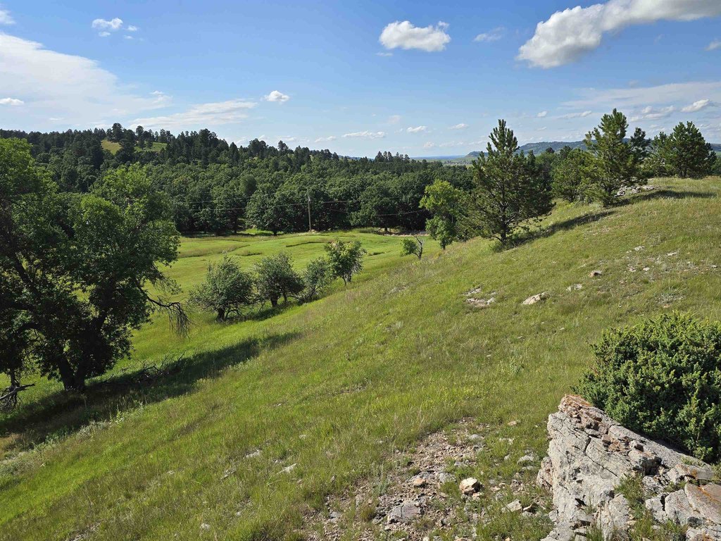 Picture 20