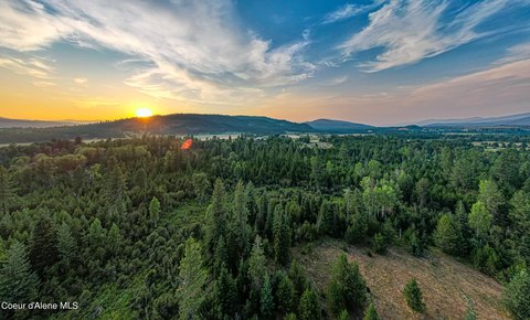 50 Acres Near Priest River