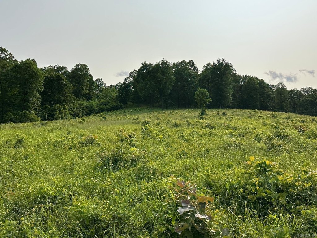 Picture 33