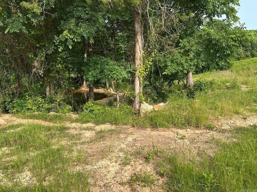 Picture 17