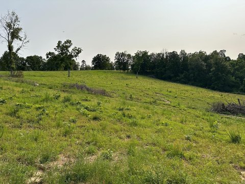 80 Acres of Ozarks Pasture