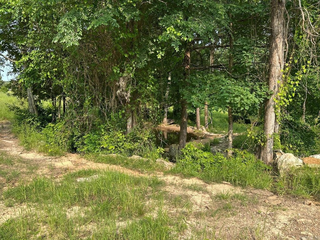 Picture 8