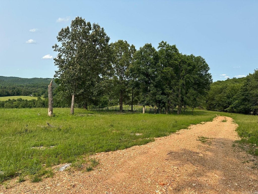 Picture 12