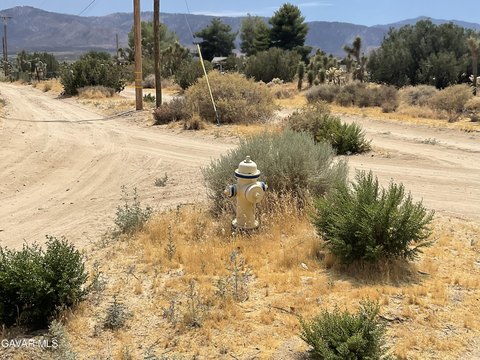25 Acres in Pinon Hills