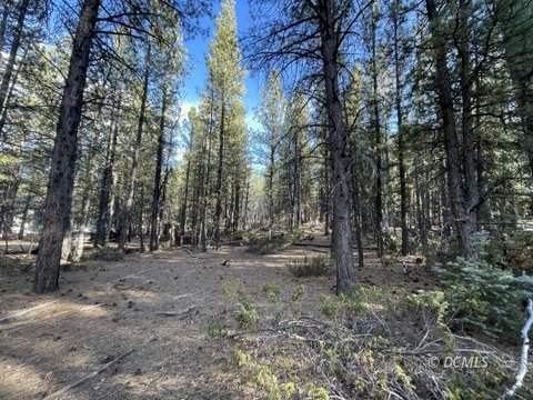 Mammoth Creek Single Family Lot
