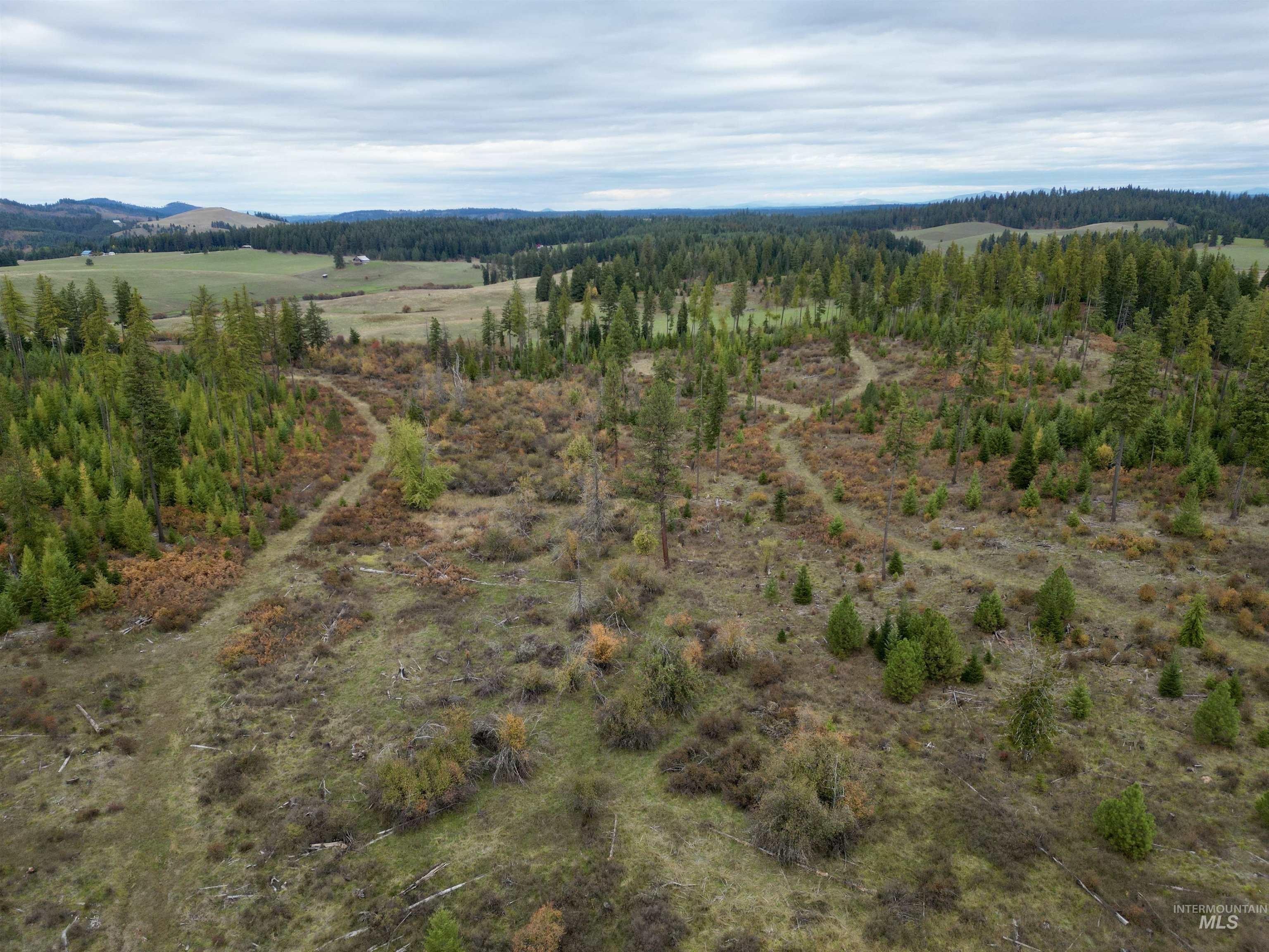 Scenic Kamiah Land Parcel
