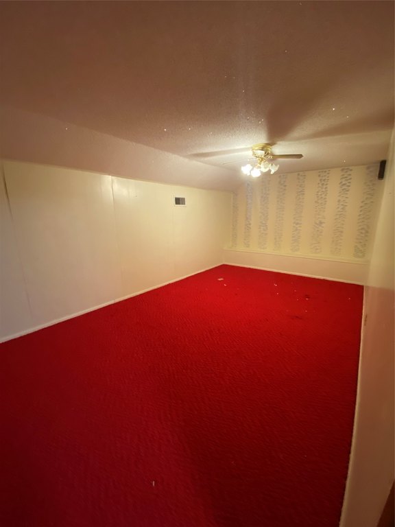 Picture 24