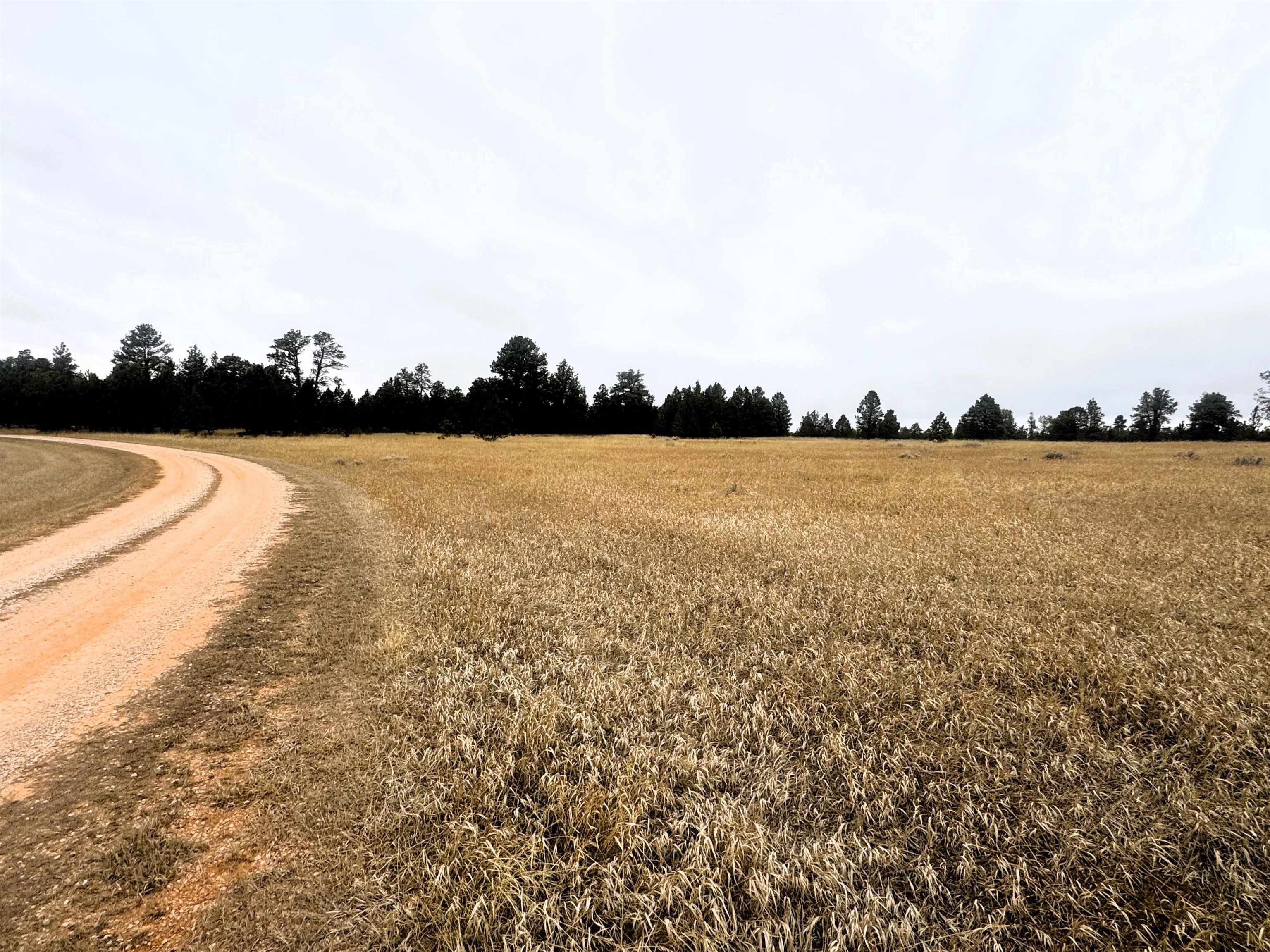 Sundance, WY 35-Acre Tract