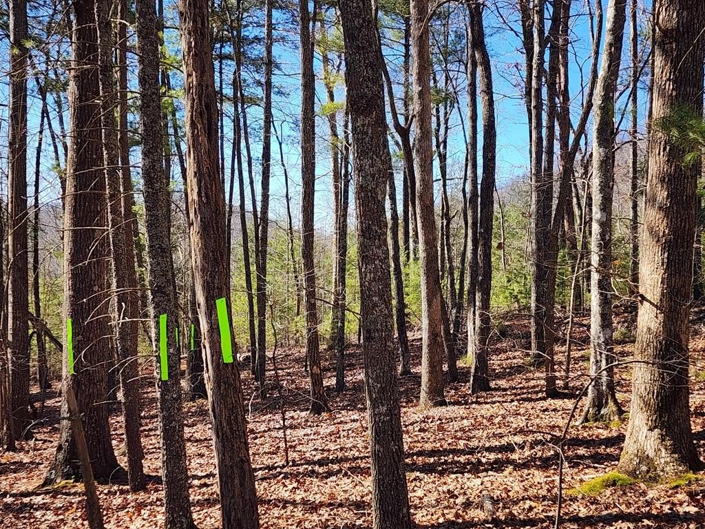 Residential Lot in Murphy, NC