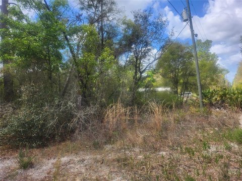Land in Orange Springs, FL