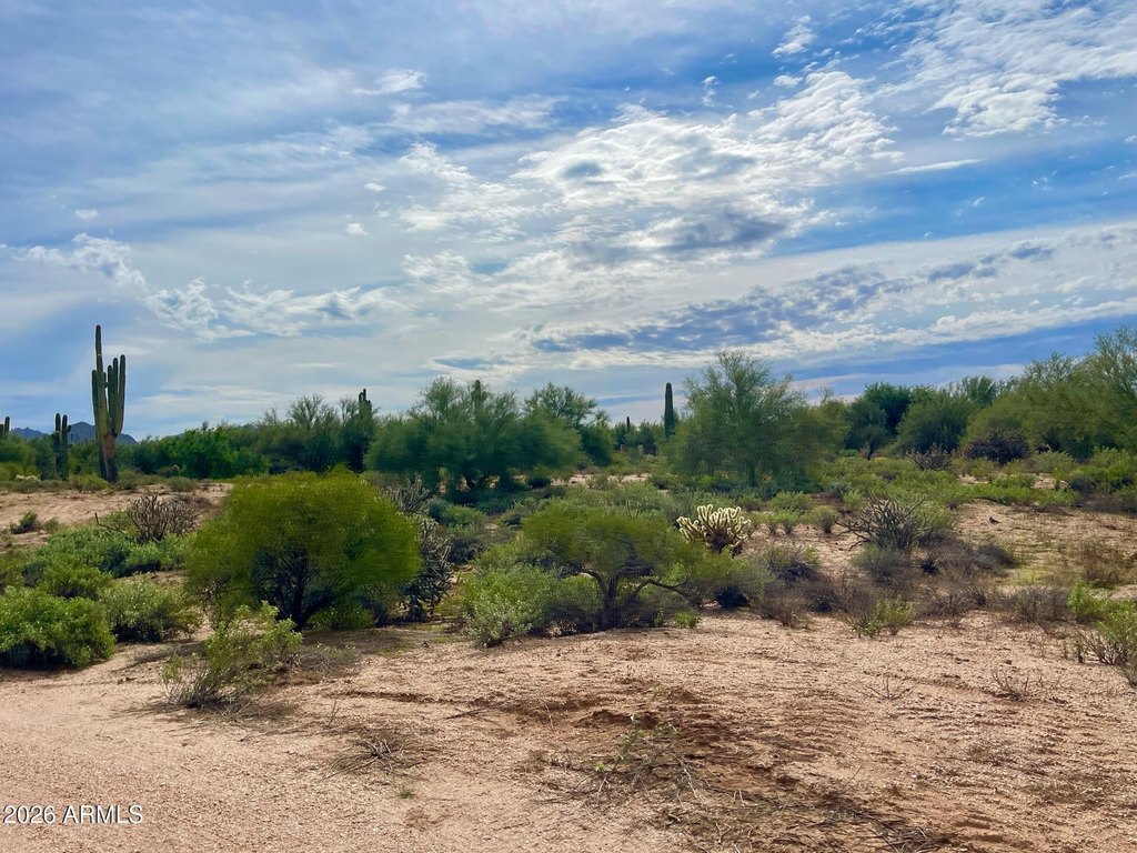Picture 20
