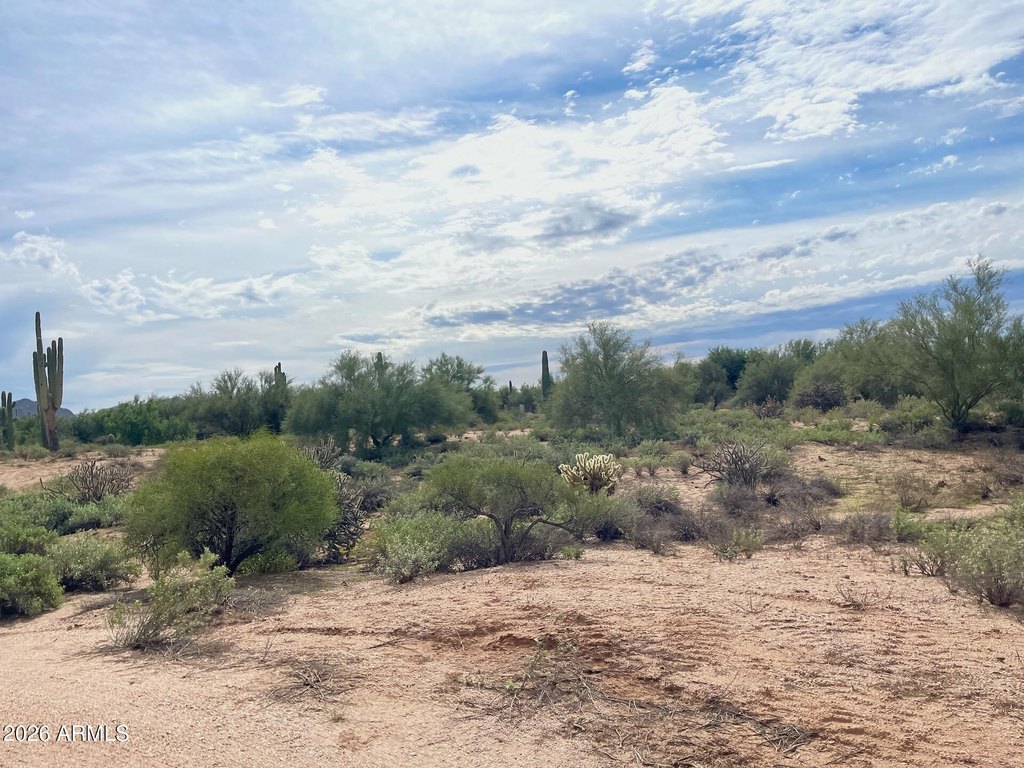 Picture 26