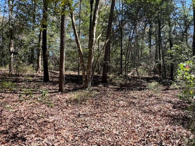Vacant Land Near Wright's Creek