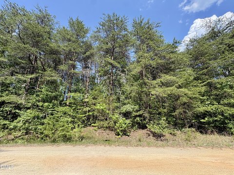 Vacant Wooded Lot