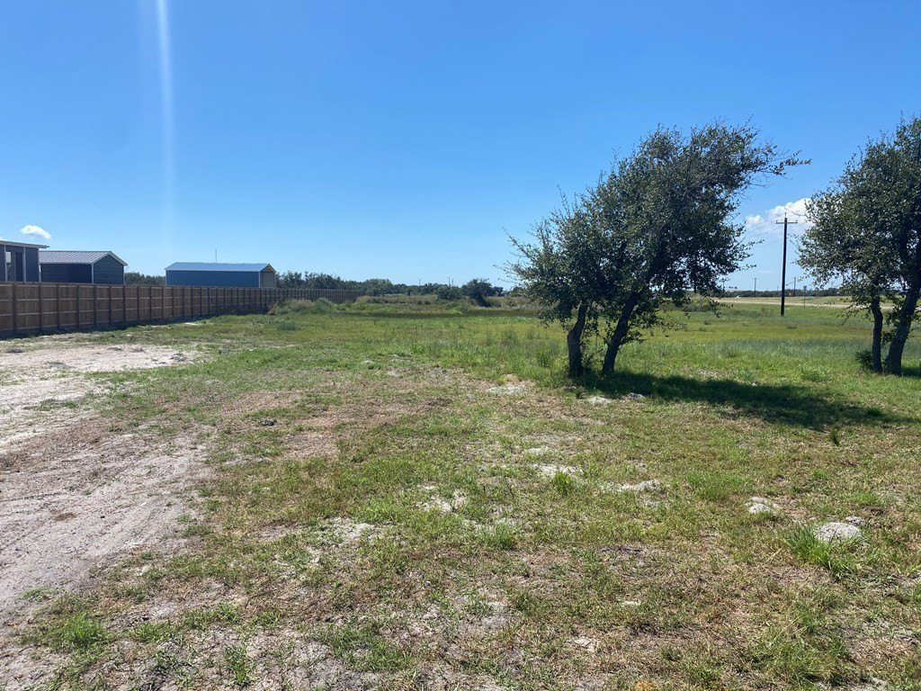 Picture 2