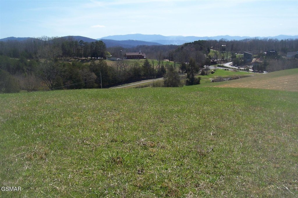 Picture 10