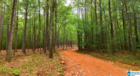 LAND/LOTS, VANDIVER, AL