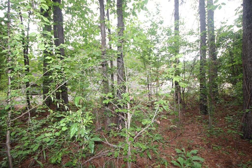 Picture 4
