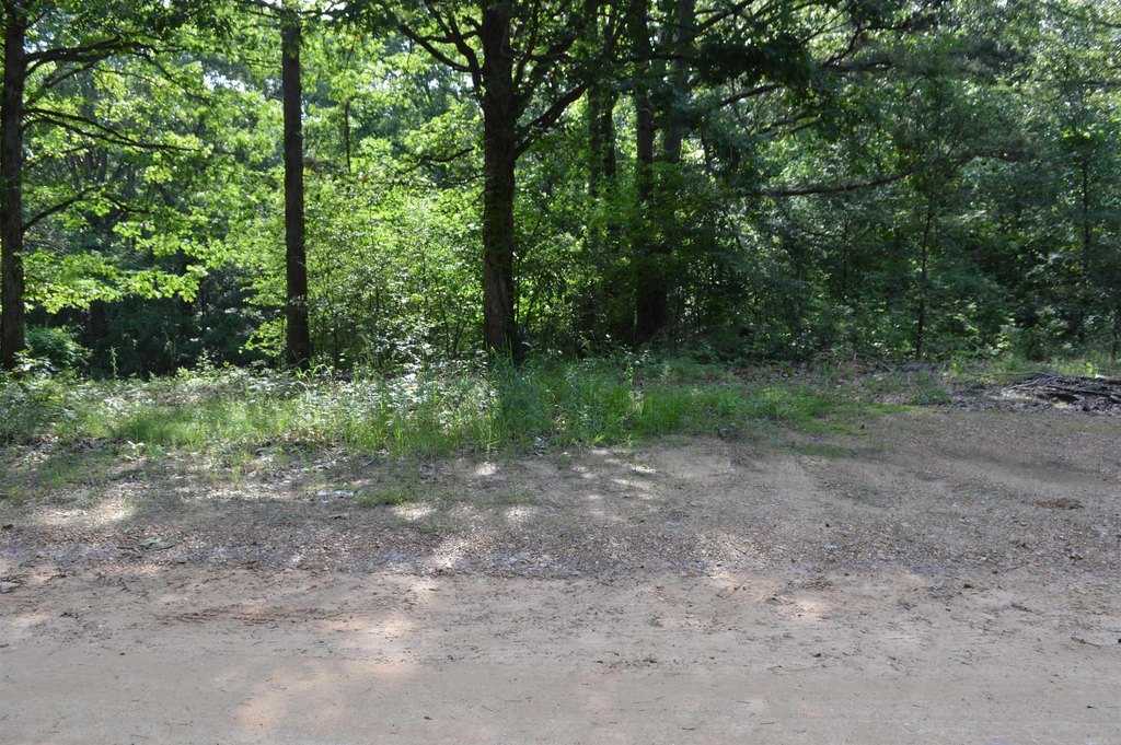 Picture 4