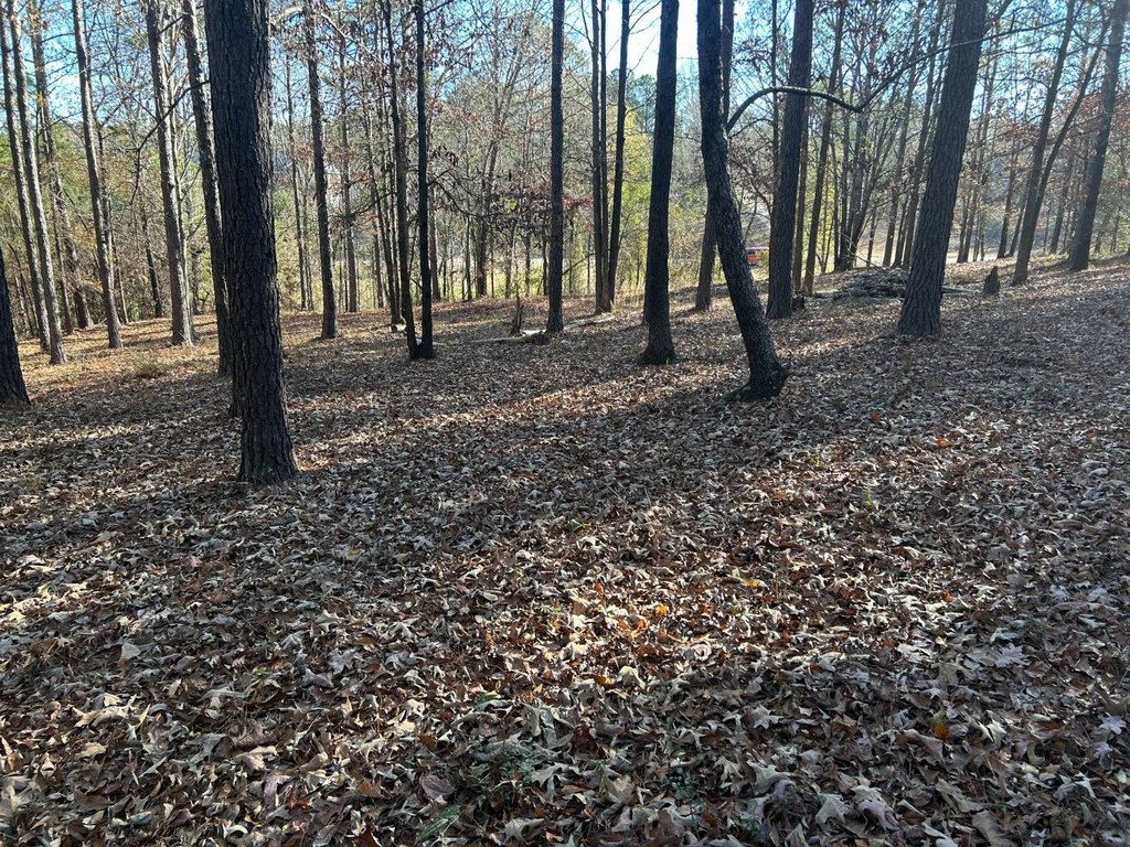 Picture 6