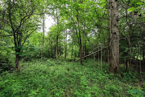 Recreational Land in Bangor, Michigan