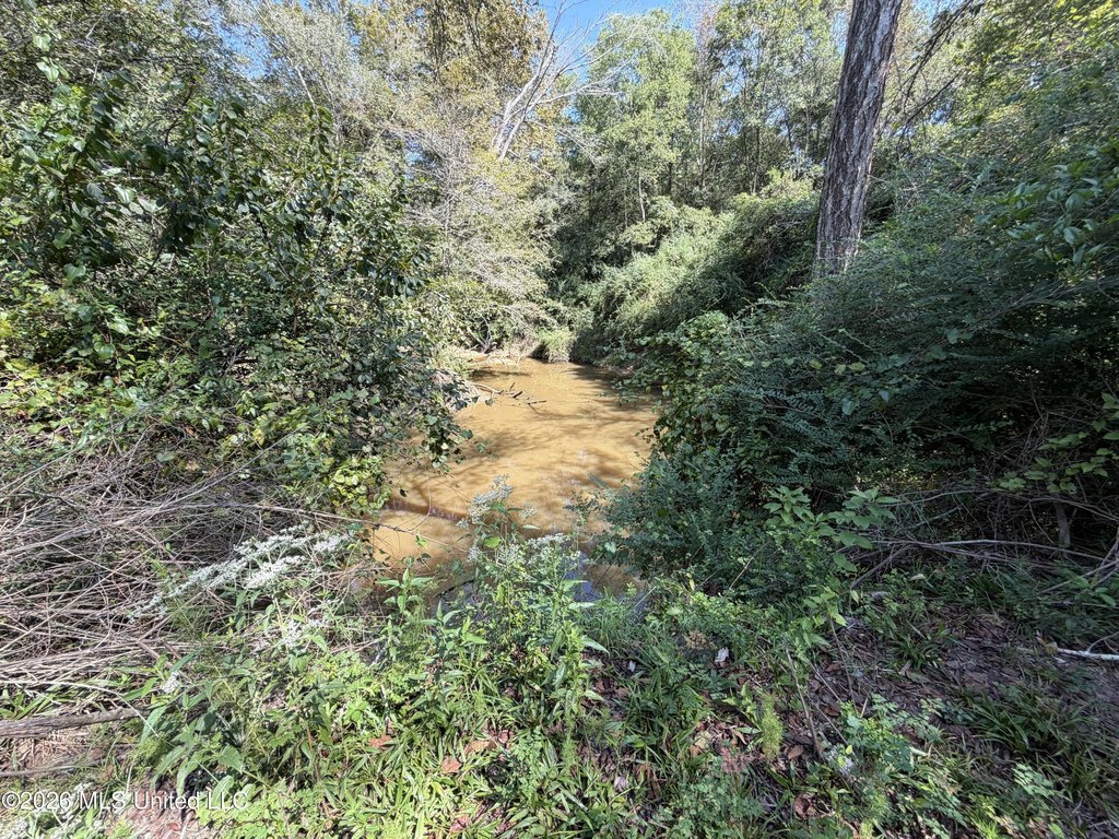 Picture 34