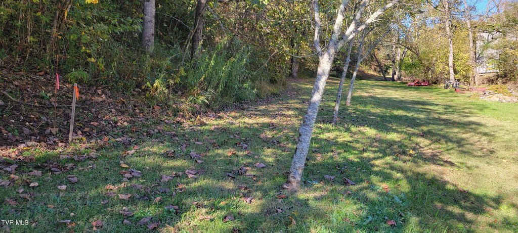 Picture 7