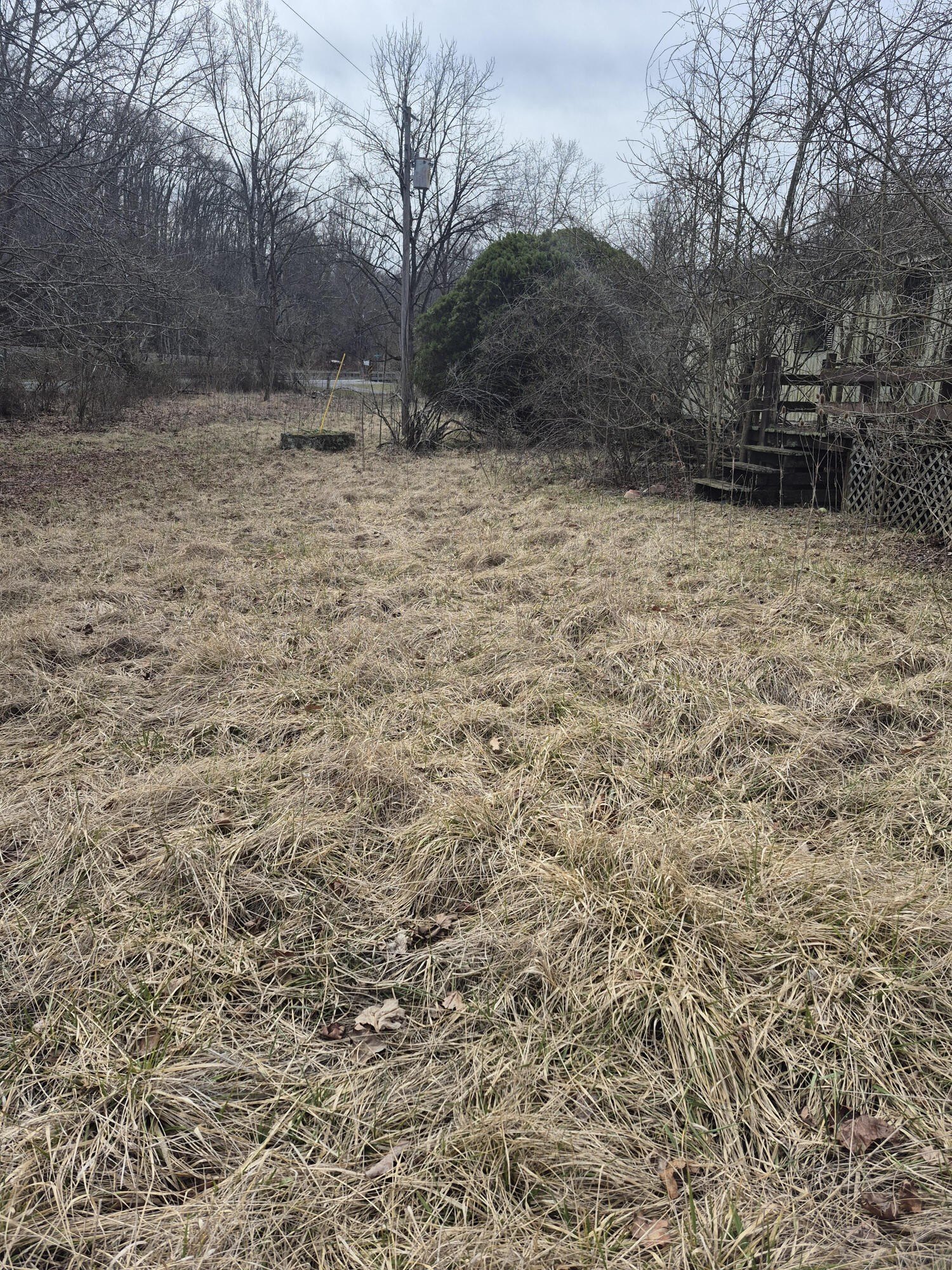 Residential Land in Buchanan, VA