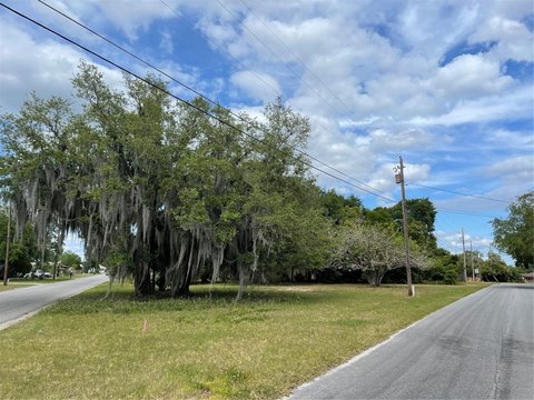 Land, TAVARES, FL