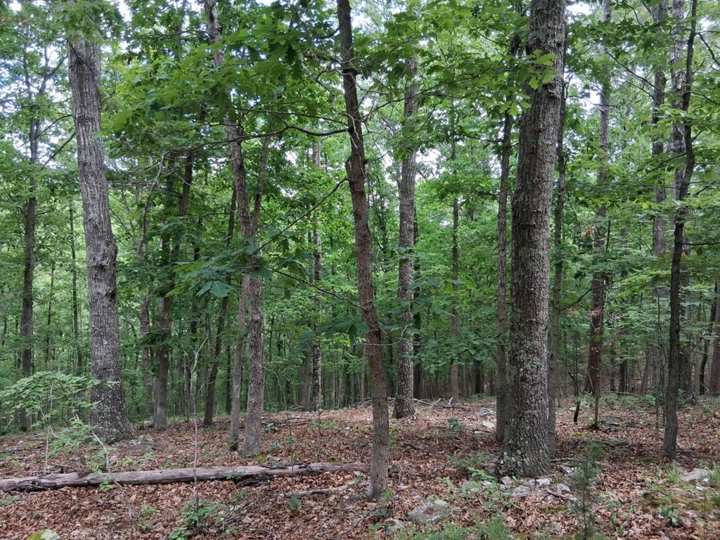 Picture 23