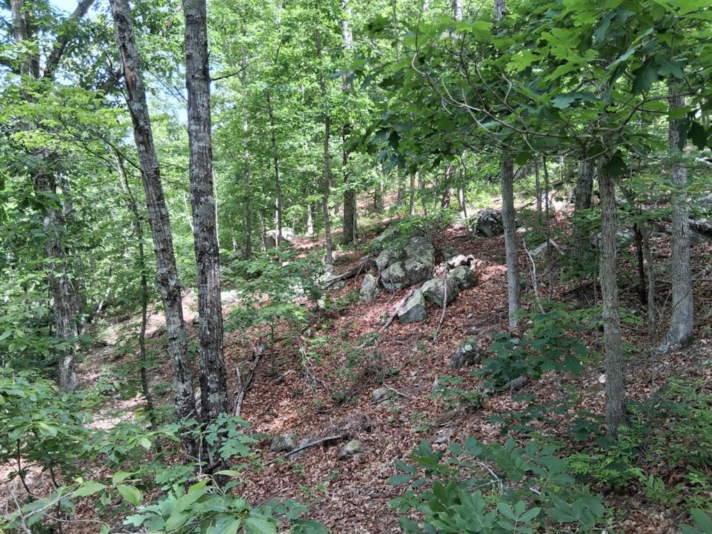 Picture 4