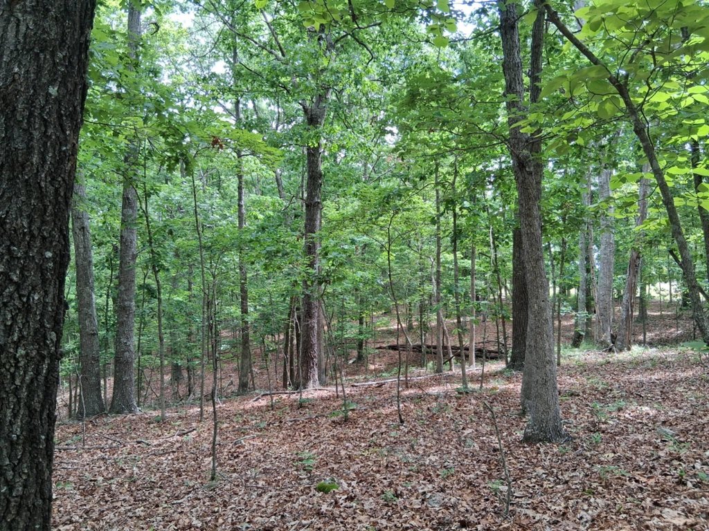 Picture 22