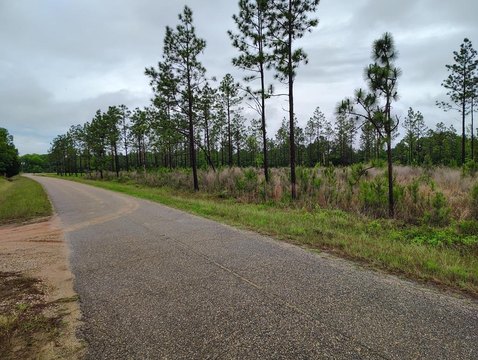Residential Land in Pansey, AL